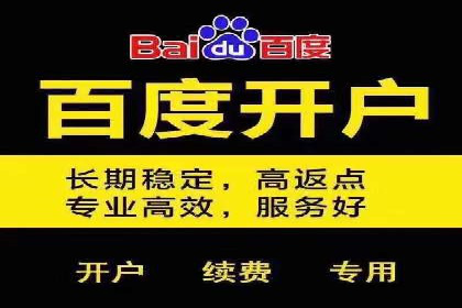 SEM代运营机构案例：关键词优化与广告投放
